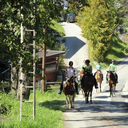 شقة فندقية Alpen Zell Am امباخ