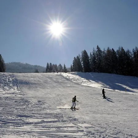 شقة فندقية Alpen Zell Am