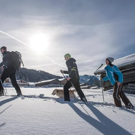 Alpen Zell Am Apart-hotel Embach