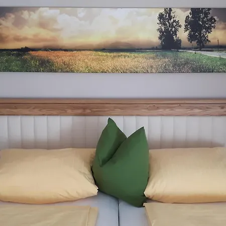 Alpen Zell Am Aparthotel *