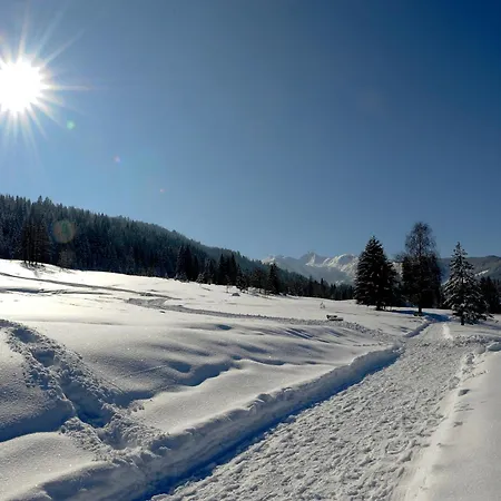 Alpen Zell Am شقة فندقية *