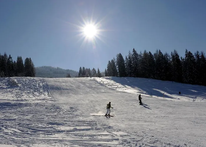 Hotel apartamentowy Alpen Zell Am