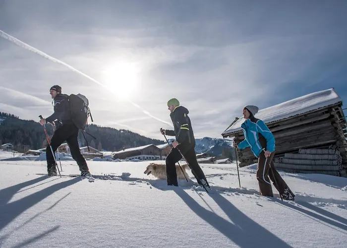 Alpen Zell Am Hotel apartamentowy Embach