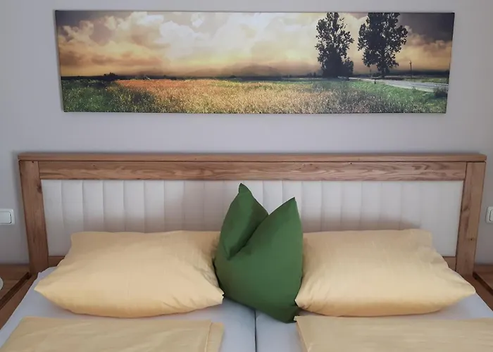 Alpen Zell Am Hotel apartamentowy *