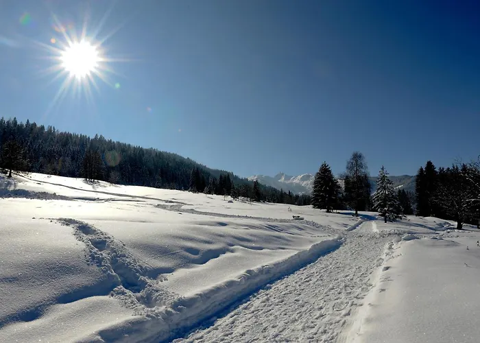 Alpen Zell Am Hotel apartamentowy *